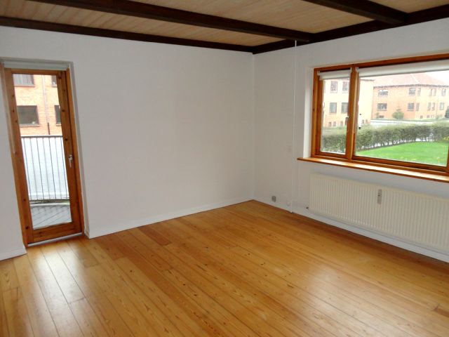 4460-001-020-stue.JPG
